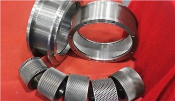 Pellet Mill Ring Die